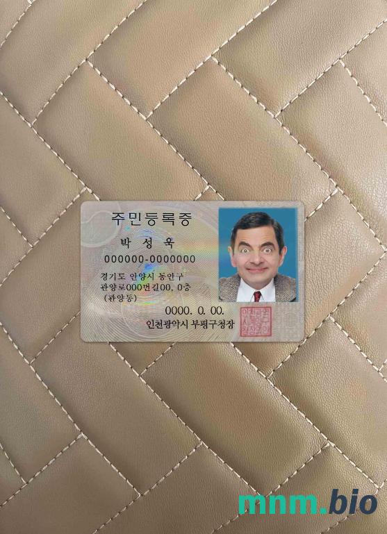Korea ID fotowygląd skan i fotorealistyczny snapshot, 2 w 1